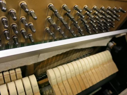 KAWAI BL-71