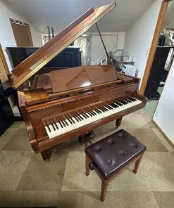 KAWAI GE-20G ATⅡ