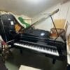 YAMAHA A1L