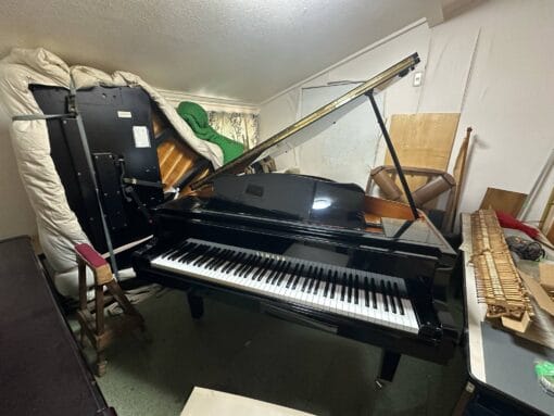 YAMAHA A1L