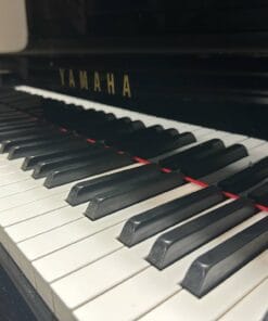 YAMAHA A1L